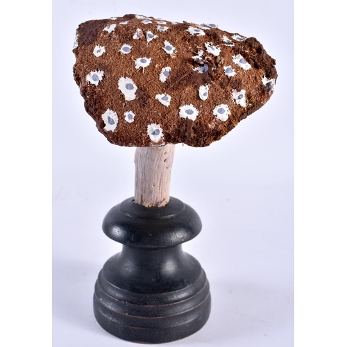 539 - AN UNUSUAL CARVED FOLK ART PAINTED WOOD MUSHROOM SPECIMAN. 19 cm high.