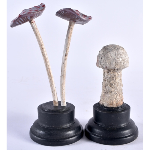 543 - TWO UNUSUAL CARVED FOLK ART PAINTED WOOD MUSHROOM SPECIMANS. 12 cm high. (2)