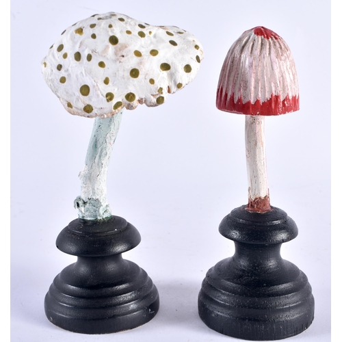 545 - TWO UNUSUAL CARVED FOLK ART PAINTED WOOD MUSHROOM SPECIMANS. 12 cm high. (2)