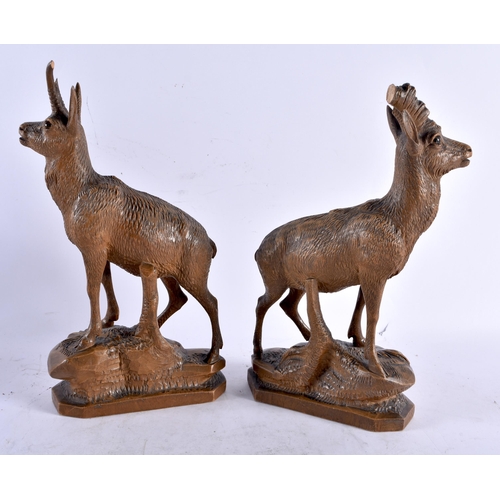 615 - TWO ANTIQUE BLACK FOREST BAVARIAN CARVED WOOD FIGURES OF GOATS modelled upon naturalistic bases. 32 ... 