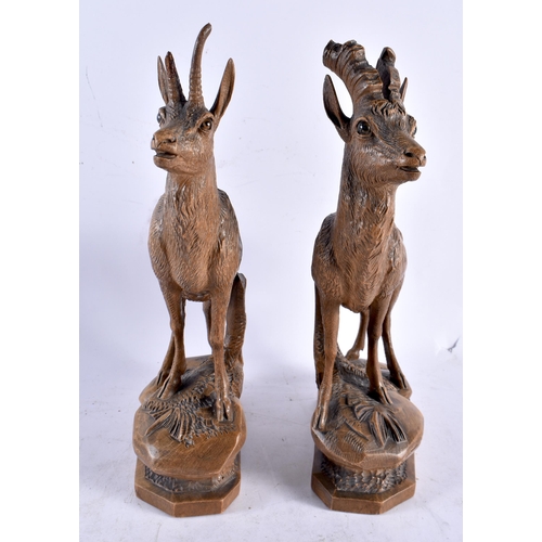 615 - TWO ANTIQUE BLACK FOREST BAVARIAN CARVED WOOD FIGURES OF GOATS modelled upon naturalistic bases. 32 ... 