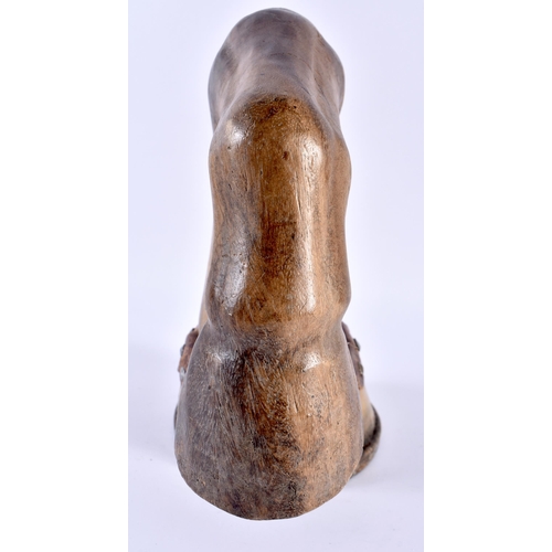 698 - AN UNUSUAL ANTIQUE EQUESTRIAN COUNTRY HOUSE WOOD AND HORN HORSE HOOF DOOR STOP. 27 cm x 18 cm.