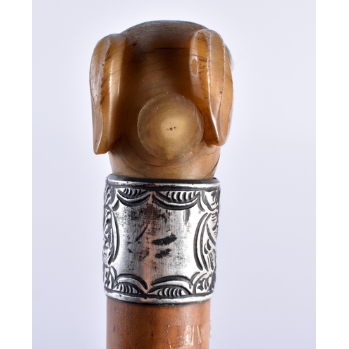 711 - A VICTORIAN SILVER MOUNTED CARVED RHINOCEROS HORN DOG HEAD WALKING CANE. 88 cm long.