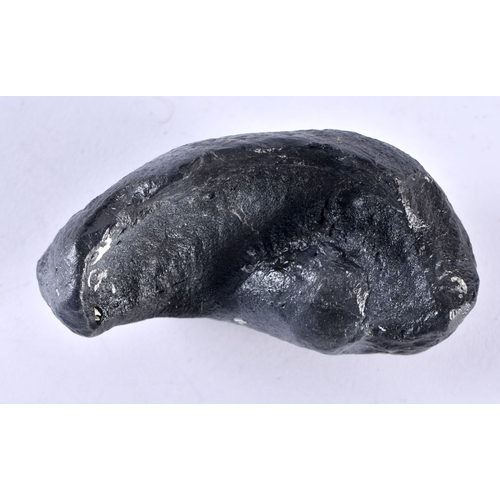 400Q - A Fossilised Whale Eardrum. 7.6cm x 4cm x 3.4cm, weight 125g