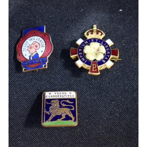 3089 - A WW2 British Primrose League conservatives Lapel badge together with vintage Young conservative bad... 