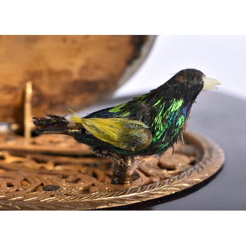 113 - AN EARLY 19TH CENTURY SWISS CARVED TORTOISESHELL AUTOMATON SINGING BIRD BOX the top engraved with a ... 