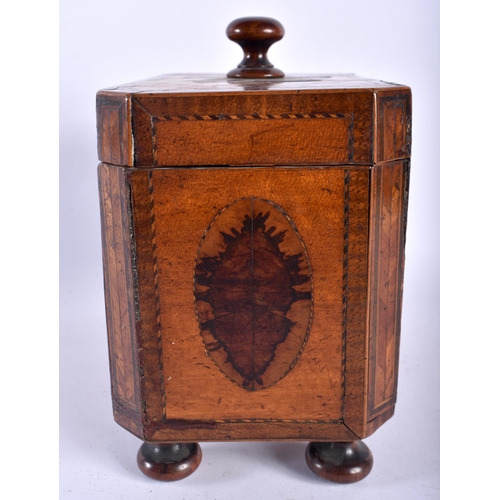 13 - AN UNUSUAL GEORGE III MAHOGANY RECTANGULAR FORM TEA CADDY overlaid with panels of flowers and trees,... 