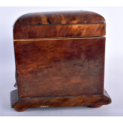 6 - AN UNUSUAL EARLY REGENCY CARVED TORTOISESHELL TEA CADDY of rectangular form, with wire work inlay, f... 