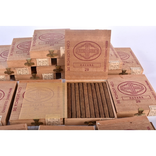 45C - A LARGE COLLECTION OF HAVANA CUBAN CIGARS. (qty)