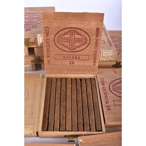 45C - A LARGE COLLECTION OF HAVANA CUBAN CIGARS. (qty)