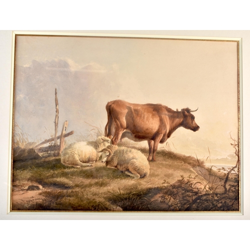 95A - Thomas Sidney Cooper (1803-1902) Watercolour, Cow and sheep within a landscape. 67 cm x 58 cm.