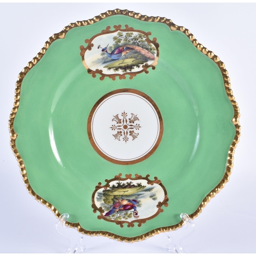 169 - Flight Barr and Barr fine plate with green ground painted fancy birds in mirror shaped panels by Dr... 