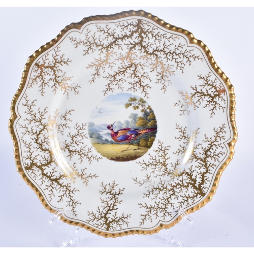 237 - Flight Barr and Barr Worcester gadroon plate painted with a fancy bird by Dr. George Davis and two g... 