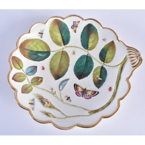 27 - AN EARLY 19TH CENTURY CHAMBERLAINS WORCESTER BLIND EARL LEAF SHAPED DISH moulded and painted with in... 