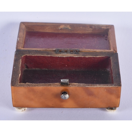 319 - TWO REGENCY CARVED TORTOISESHELL RECTANGULAR BOXES. Largest 6.5 cm x 3 cm. (2)