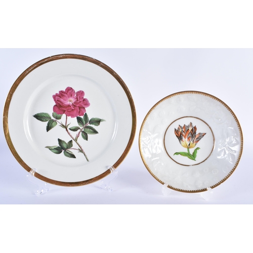 37 - AN EARLY 19TH CENTURY CHAMBERLAINS WORCESTER BOTANICAL PORCELAIN PLATE together with a similar mould... 