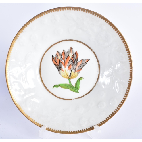 37 - AN EARLY 19TH CENTURY CHAMBERLAINS WORCESTER BOTANICAL PORCELAIN PLATE together with a similar mould... 