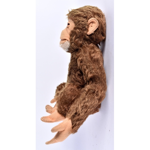 401 - A MID CENTURY POSSIBLE STEIFF MONKEY WITH SQUEAKER. 25cm high.