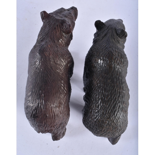 545 - A PAIR OF 19TH CENTURY BAVARIAN BLACK FOREST CARVED WOOD BEARS modelled roaming. 18cm x 10 cm.