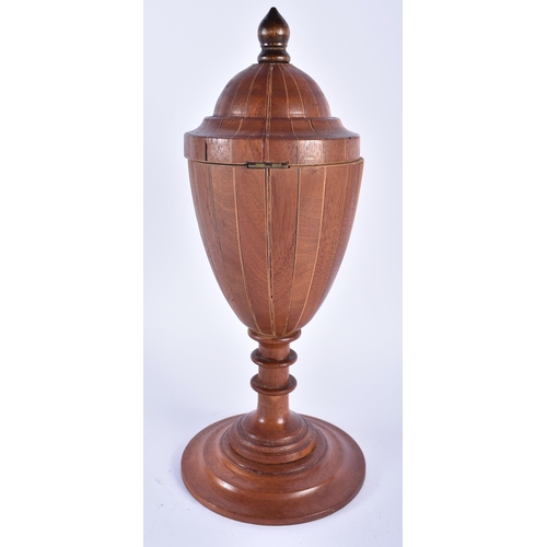 585 - A LARGE GEORGE III STYLE CARVED WOOD TEA CADDY AND COVER. 35 cm high.