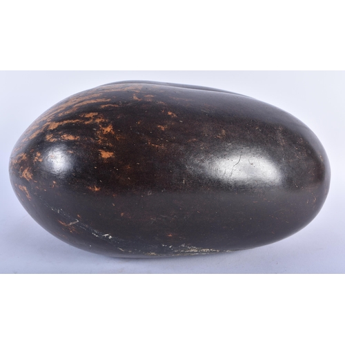 602 - A LARGE COCO DE MER NUT. 34 cm x 26cm.