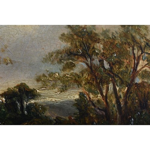 612 - English School (19th Century) Oil on board, Landscape. 45cm x 38 cm.