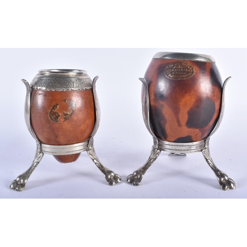 618 - A PAIR OF SOUTH AMERICAN GOURD NUT VASES upon white metal lion capped bases. 15 cm x 8 cm.