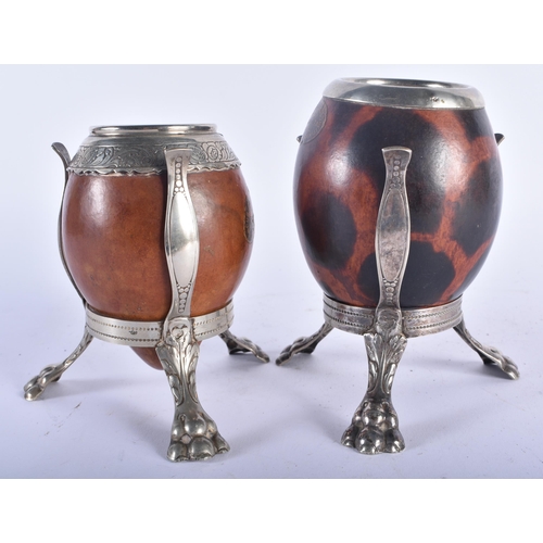 618 - A PAIR OF SOUTH AMERICAN GOURD NUT VASES upon white metal lion capped bases. 15 cm x 8 cm.