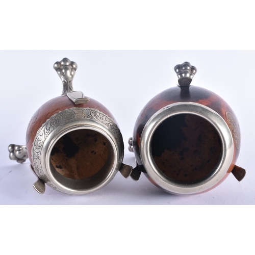 618 - A PAIR OF SOUTH AMERICAN GOURD NUT VASES upon white metal lion capped bases. 15 cm x 8 cm.