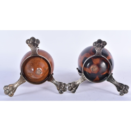 618 - A PAIR OF SOUTH AMERICAN GOURD NUT VASES upon white metal lion capped bases. 15 cm x 8 cm.