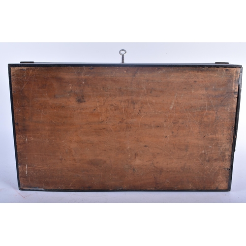 678 - A LARGE 19TH CENTURY ANGLO INDIAN CEYLONESE EBONY WRITING SLOPE. 40 cm x 24 cm x 15 cm.