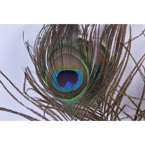 769 - A VINTAGE PEACOCK FEATHER VENETIAN STYLE THEATRICAL MASK. 34 cm x 27 cm.