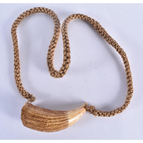 779 - Antique Presentation Fijian Whale Tooth Pendant Necklace (Tabua) Fiji islands. Carved sperm whale to... 