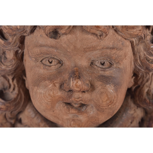 834 - A FINE 18TH CENTURY NORTHERN EUROPEAN CARVED WOOD HEAD OF A PUTTI flanked by foliage. 22 cm x 24 cm.