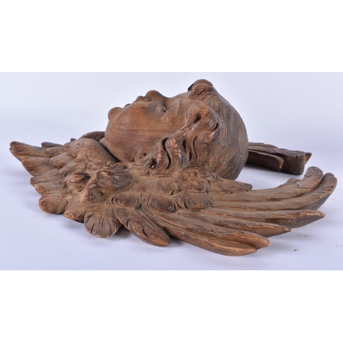 834 - A FINE 18TH CENTURY NORTHERN EUROPEAN CARVED WOOD HEAD OF A PUTTI flanked by foliage. 22 cm x 24 cm.