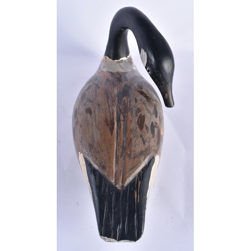 837 - A LARGE CANADIAN GOOSE FOLK ART PAINTED WOOD DECOY. 44 cm x 20 cm.