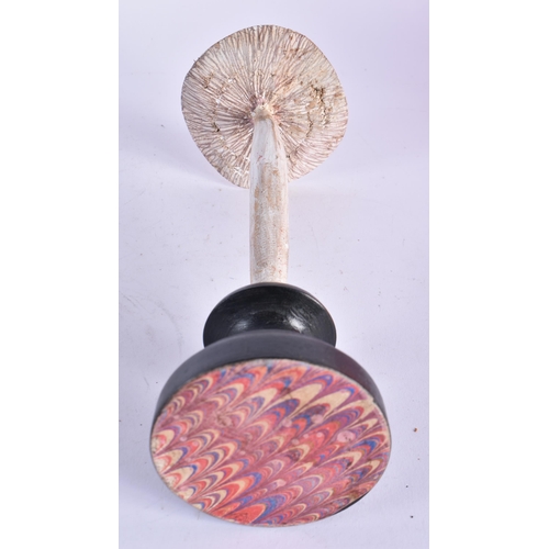 908 - AN UNUSUAL CARVED FOLK ART PAINTED WOOD MUSHROOM SPECIMEN. 20cm high.