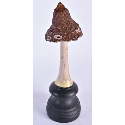 909 - AN UNUSUAL CARVED FOLK ART PAINTED WOOD MUSHROOM SPECIMEN. 25cm high.