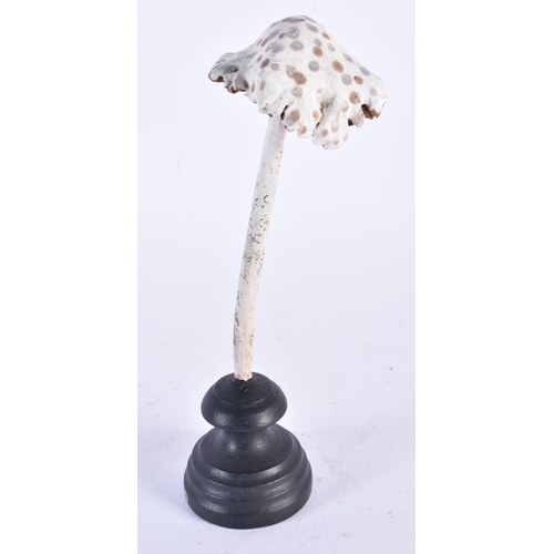 915 - AN UNUSUAL CARVED FOLK ART PAINTED WOOD MUSHROOM SPECIMEN. 20cm high.