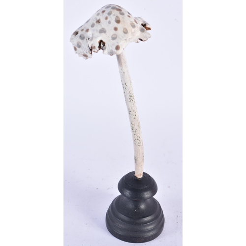 915 - AN UNUSUAL CARVED FOLK ART PAINTED WOOD MUSHROOM SPECIMEN. 20cm high.