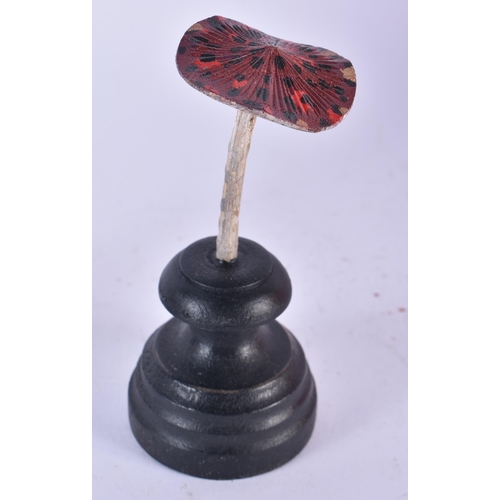 917 - TWO UNUSUAL CARVED FOLK ART PAINTED WOOD MUSHROOM SPECIMENs. 12cm high.(2)