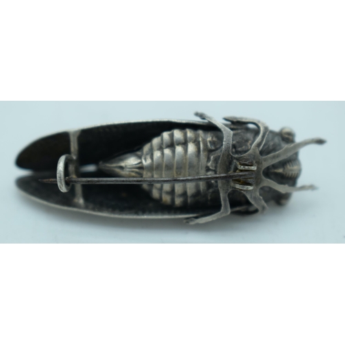 1079 - AN EARLY 20TH CENTURY JAPANESE MEIJI PERIOD SILVER LOCUST BROOCH. 6.5 grams. 4.75 cm x 1.5 cm.