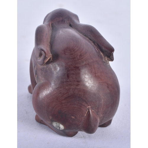 1354 - A Japanese Carved Rabbit Netsuke.  6.1cm x 3.6 cm x 3.3 cm, weight 28.6g