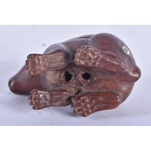 1354 - A Japanese Carved Rabbit Netsuke.  6.1cm x 3.6 cm x 3.3 cm, weight 28.6g