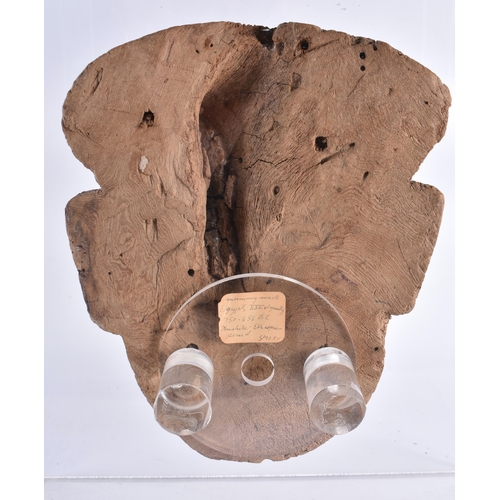79 - A FINE AND LARGE EGYPTIAN CARVED WOOD MUMMY MASK Late Period 664-40 BC. 42 cm x 28 cm.