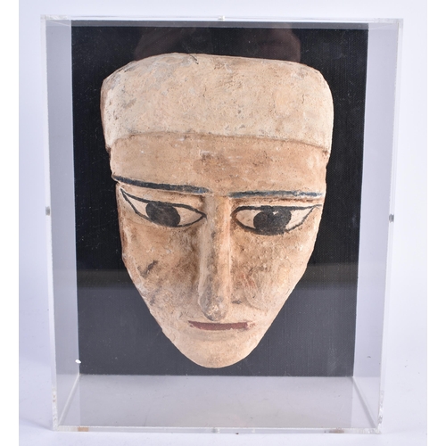 80 - A FINE AND RARE EGYPTIAN CARVED WOOD MUMMY MASK Late Period 664-40 BC. 27 cm x 20 cm.