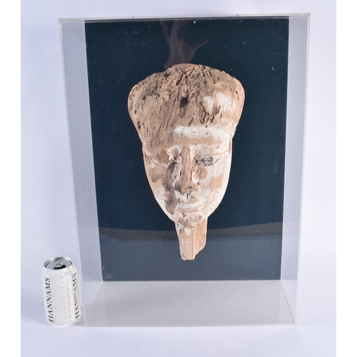 81 - A FINE AND LARGE EGYPTIAN CARVED WOOD MUMMY MASK Late Period 664-40 BC. 54 cm x 38 cm.