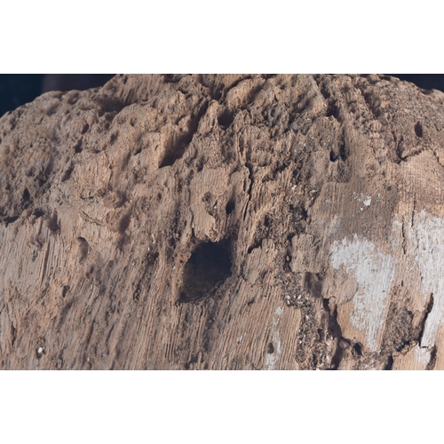 81 - A FINE AND LARGE EGYPTIAN CARVED WOOD MUMMY MASK Late Period 664-40 BC. 54 cm x 38 cm.