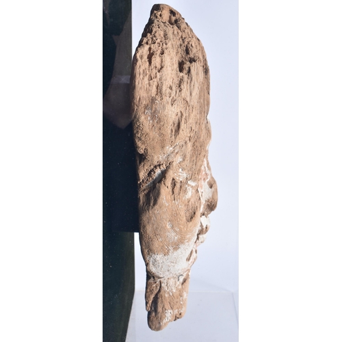 81 - A FINE AND LARGE EGYPTIAN CARVED WOOD MUMMY MASK Late Period 664-40 BC. 54 cm x 38 cm.