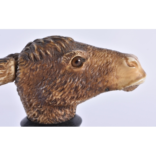 85 - A VERY RARE 19TH CENTURY EUROPEAN CARVED ARTICULATED DONKEY HEAD formed upon an ebonised base, natur... 